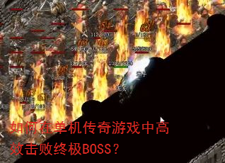 ����ڵ���������Ϸ�и�Ч�����ռ�BOSS��