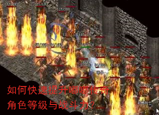 ��ο��������ུ����ɫ�ȼ���ս������