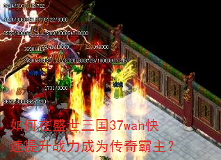 �����ʢ������37wan��������ս����Ϊ���������