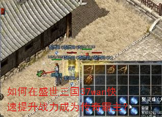 �����ʢ������37wan��������ս����Ϊ���������