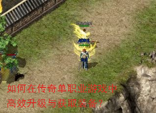 ����ڴ��浥ְҵ��Ϸ�и�Ч�������ȡװ����