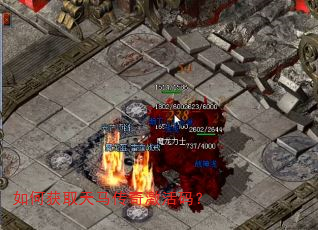 ��λ�ȡ�������漤���룿