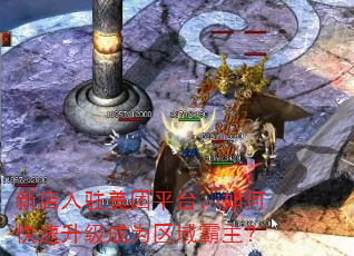 新店入驻美团平台,如何快速升级成为区域霸主? 新店入驻美团平台,如何快速升级成为区域霸主?