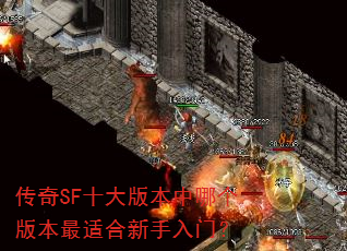 ����SFʮ��汾���ĸ��汾���ʺ��������ţ�