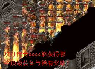 ������boss�ܻ����Щ����װ����ϡ�н�����