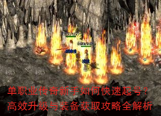 ��ְҵ����������ο�����ţ���Ч������װ����ȡ����ȫ����