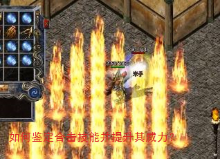 ��μ����ϻ����ܲ�������������