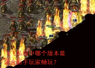 �ɷ�˽�����ĸ��汾���ʺ�������ҳ��棿