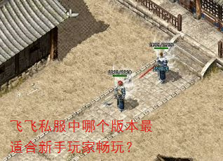 �ɷ�˽�����ĸ��汾���ʺ�������ҳ��棿