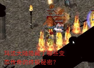 �귨��½��������Щ��̬������ռ����ܣ�