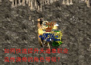 如何快速提升天道单职业造传浇奇的角色等级? 如何快速提升天道单职业造传浇奇的角色等级?