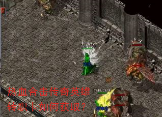 ��Ѫ�ϻ�����Ӣ��תְ����λ�ȡ��
