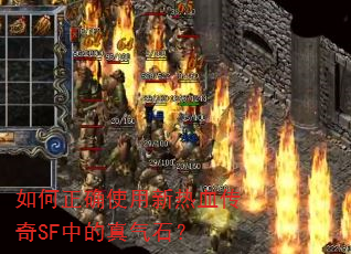 如何正确使用新热血传奇SF中的真气石? 如何正确使用新热血传奇SF中的真气石?
