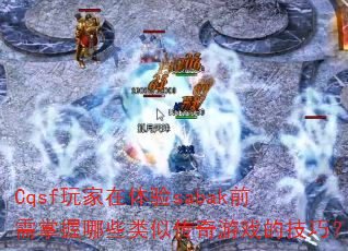 Cqsf���������sabakǰ��������Щ���ƴ�����Ϸ�ļ��ɣ�