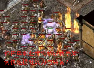 ���ӵ�ְҵ����˽��������ο�������ս����װ����
