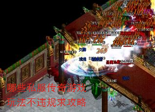 ��Щ˽��������Ϸ�淨��Υ������