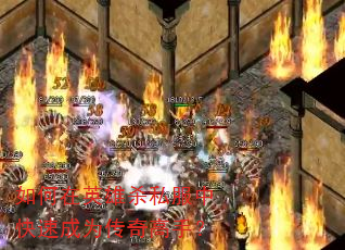 �����Ӣ��ɱ˽���п��ٳ�Ϊ������֣�