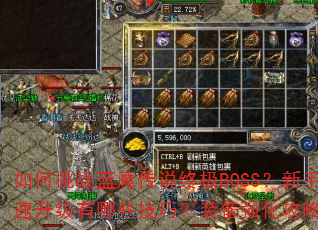 �����ս��ħ��˵�ռ�BOSS�����ֿ�����������Щ���ɣ�װ��ǿ������ȫ����