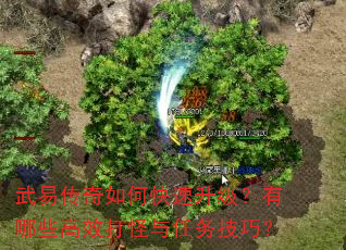 武易传奇如何快速升级?有哪些高效打怪与任务技巧? 武易传奇如何快速升级?有哪些高效打怪与任务技巧?